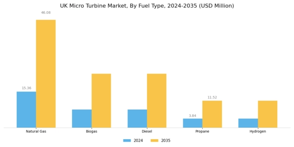 UK Micro Turbine Market Segment Image 1
