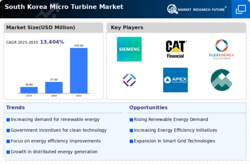 South Korea Micro Turbine Market Infographic