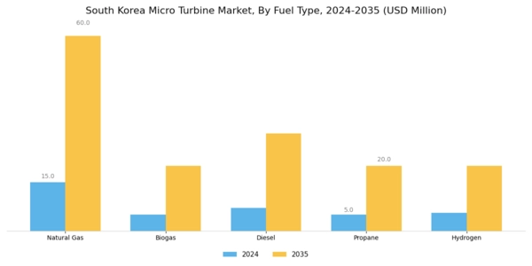 South Korea Micro Turbine Market Segment Image 1