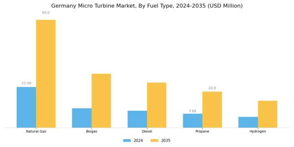 Germany Micro Turbine Market Segment Image 1