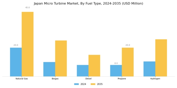 Japan Micro Turbine Market Segment Image 1