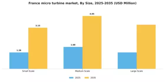 France Micro Turbine Market Segment Image 3