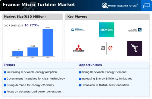 France Micro Turbine Market Infographic