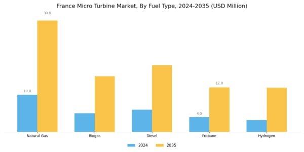 France Micro Turbine Market Segment Image 1