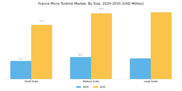 France Micro Turbine Market Segment Image 3