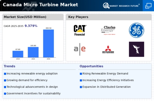 Canada Micro Turbine Market Infographic