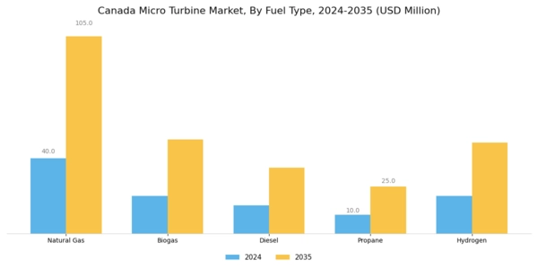 Canada Micro Turbine Market Segment Image 1