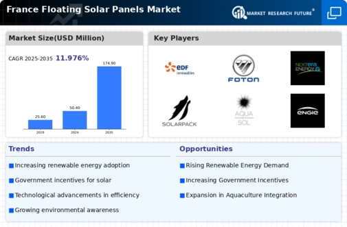 France Floating Solar Panels Market Infographic
