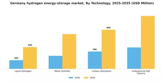 Germany Hydrogen Energy Storage Market Segment Image 1