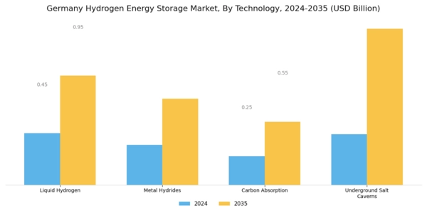Germany Hydrogen Energy Storage Market Segment Image 0