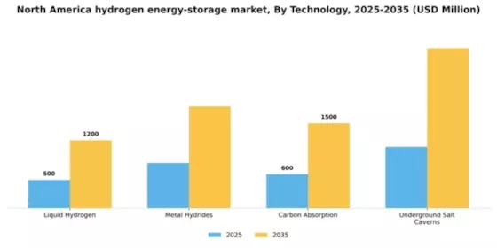 North America Hydrogen Energy Storage Market Segment Image 1