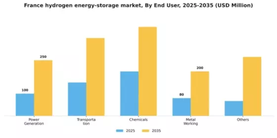 France Hydrogen Energy Storage Market Segment Image 0