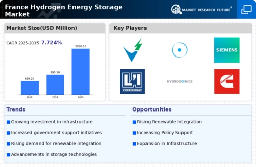 France Hydrogen Energy Storage Market Infographic