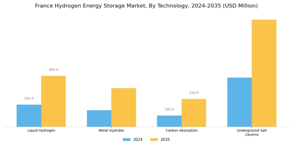 France Hydrogen Energy Storage Market Segment Image 0