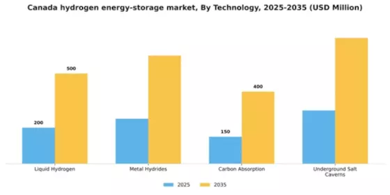 Canada Hydrogen Energy Storage Market Segment Image 1