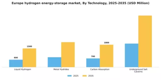 Europe Hydrogen Energy Storage Market Segment Image 1