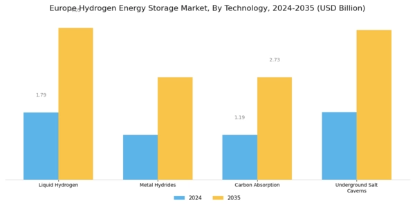 Europe Hydrogen Energy Storage Market Segment Image 0