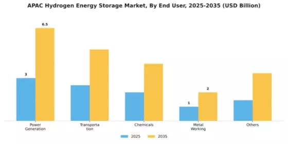 APAC Hydrogen Energy Storage Market Segment Image 0