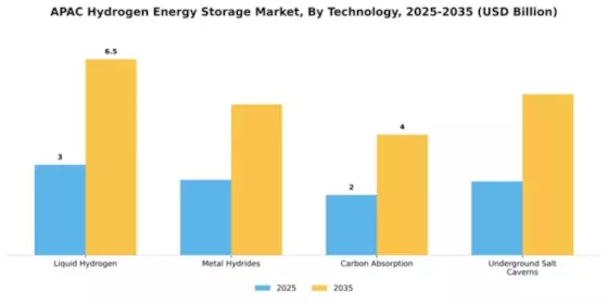 APAC Hydrogen Energy Storage Market Segment Image 1