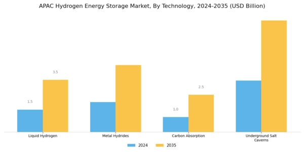 APAC Hydrogen Energy Storage Market Segment Image 0