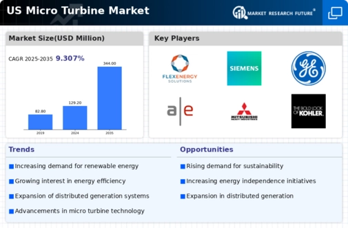 US Micro Turbine Market Infographic