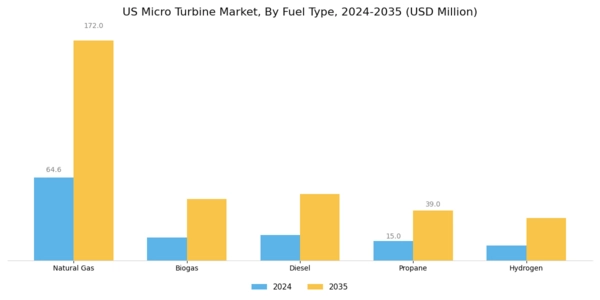 US Micro Turbine Market Segment Image 1