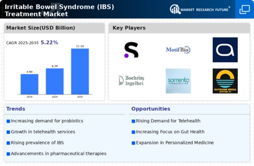 IBS Treatment Market Infographic