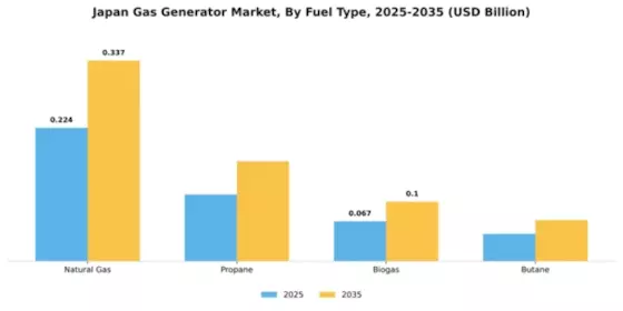 Japan Gas Generator Market Segment Image 2