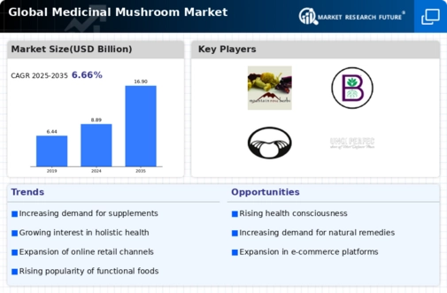 Medicinal Mushroom Market Infographic
