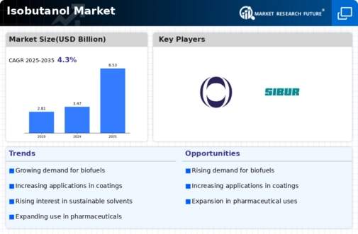 Isobutanol Market Infographic Isobutanol Market Infographic