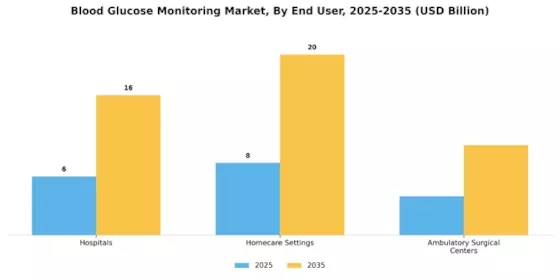 Blood Glucose Monitoring Market Segment Image 2