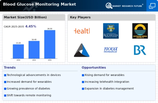 Blood Glucose Monitoring Market Infographic