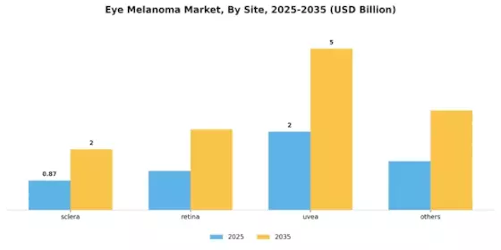 Eye Melanoma Market Segment Image 2