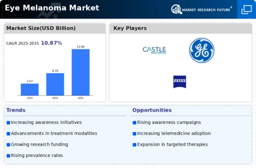Eye Melanoma Market Infographic