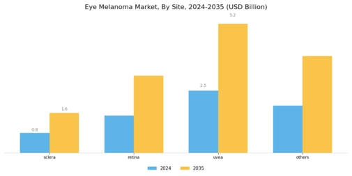 Eye Melanoma Market Segment Image 0