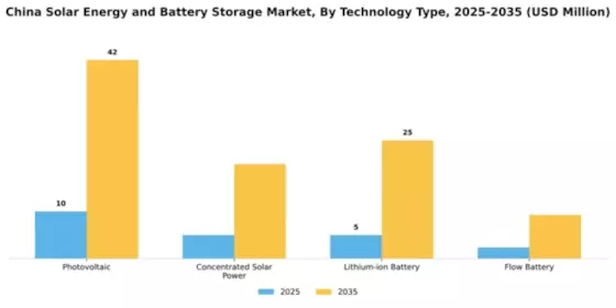 China Solar Energy and Battery Storage Market Segment Image 3