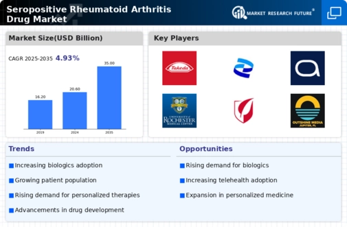 Seropositive Rheumatoid Arthritis Drug Market Research Report- Forecast to 2035 Infographic