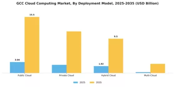 GCC Cloud Computing Market Segment Image 0
