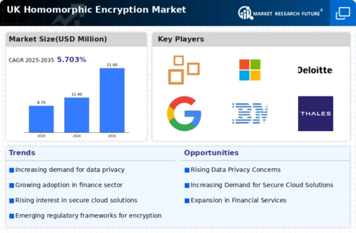 UK Homomorphic Encryption Market Infographic