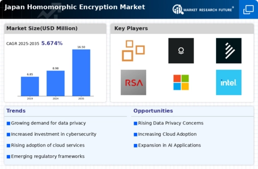 Japan Homomorphic Encryption Market Infographic