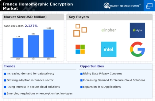 France Homomorphic Encryption Market Infographic