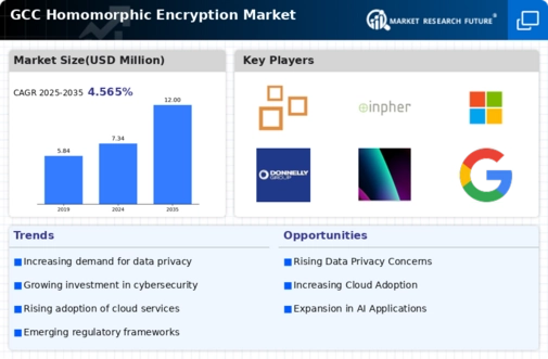 GCC Homomorphic Encryption Market Infographic