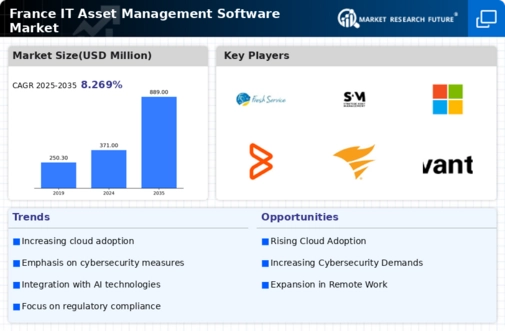 France IT Asset Management Software Market Infographic