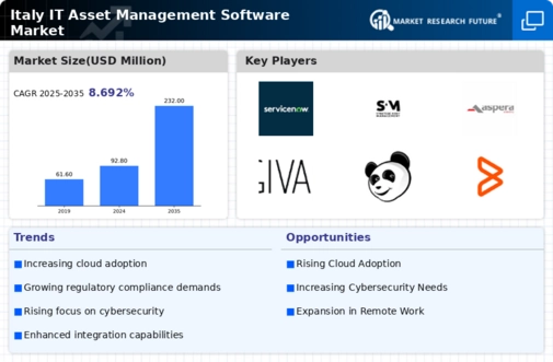Italy IT Asset Management Software Market Infographic