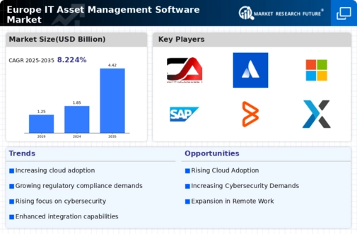 Europe IT Asset Management Software Market Infographic