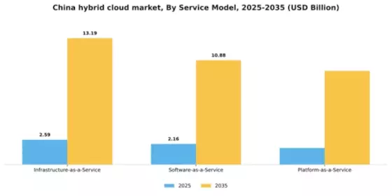 China Hybrid Cloud Market Segment Image 2
