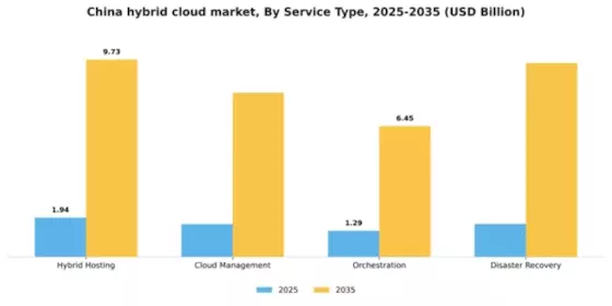 China Hybrid Cloud Market Segment Image 3