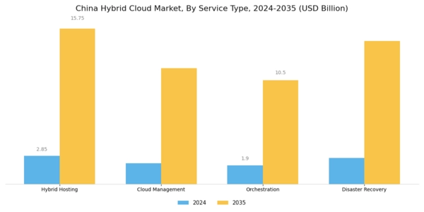 China Hybrid Cloud Market Segment Image 1