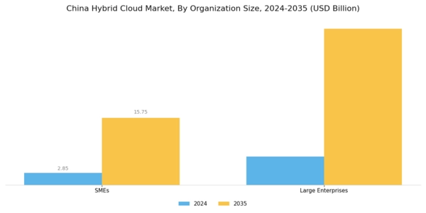China Hybrid Cloud Market Segment Image 3