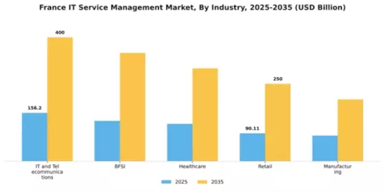 France IT Service Management Market Segment Image 1